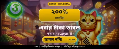 BT Baji Casino Gameplay